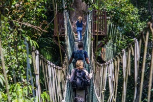Explore The Wild With This 3D2N Taman Negara Itinerary Image