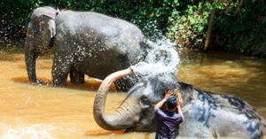 5 Eco Places You Never Knew in Malaysia Image