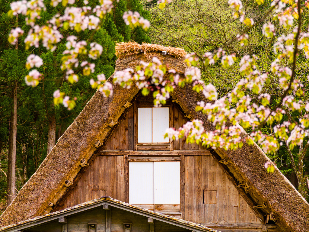 Japan <p>1-Day World Heritage Shirakawago &amp; Takayama Tour (Round Trip from Kanazawa) - Seat in coach</p> Tour Image