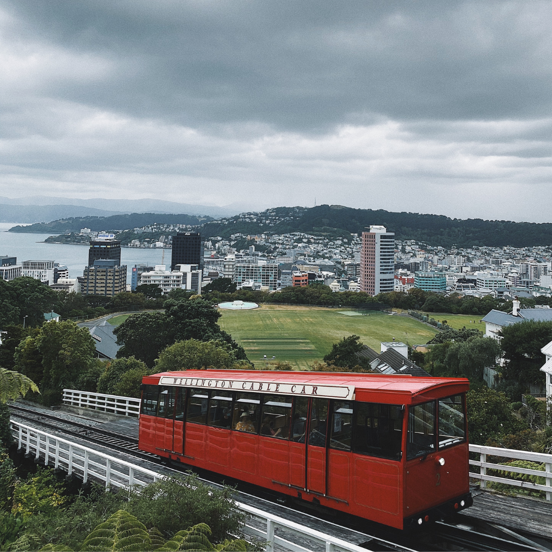 New-Zealand <p>Northern Splendour (Self-Drive)<br>Auckland - Waitomo - Hobbiton - Rotorua - Napier - Wellington</p> Tour Image