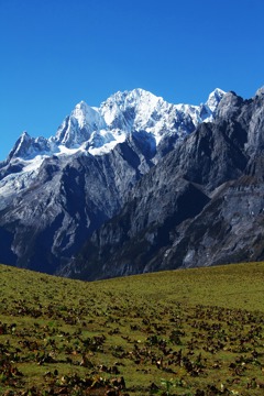 7D6N Kunming - Dali - Lijiang Muslim Tour Image