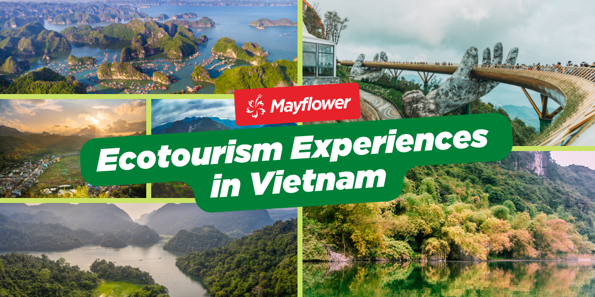 Ecotourism Experiences in Vietnam Image