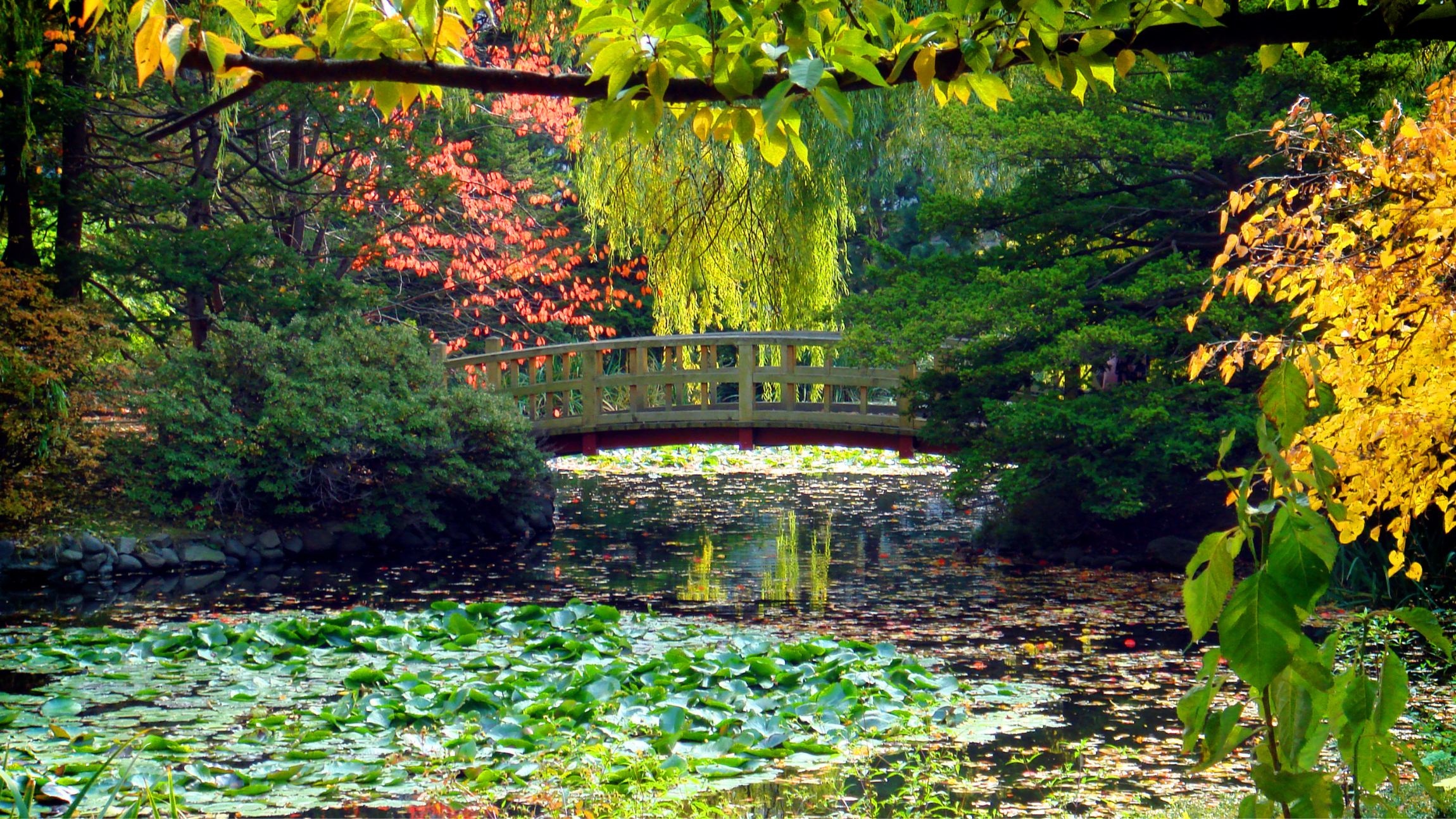 What to Expect When Visiting Sapporo, Japan Image