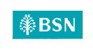 BSN Partner Logo