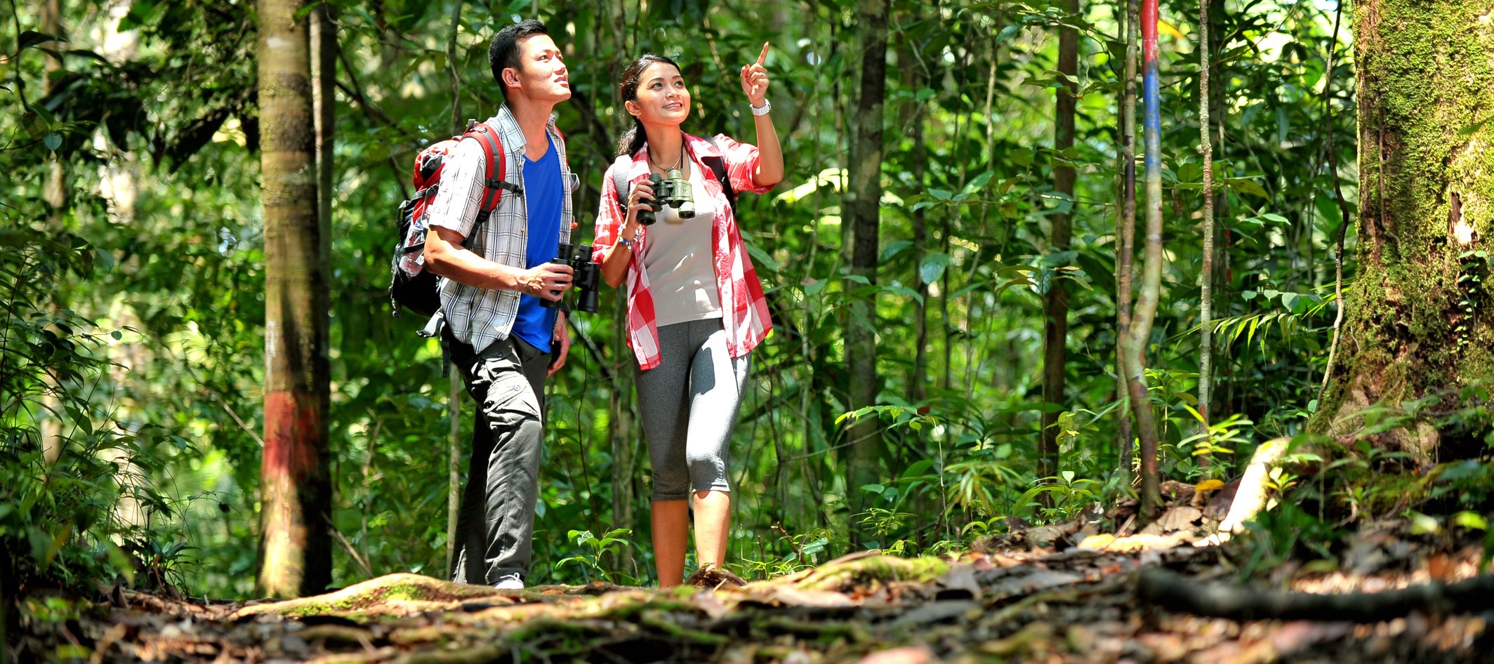 3D2N Mutiara Taman Negara Image