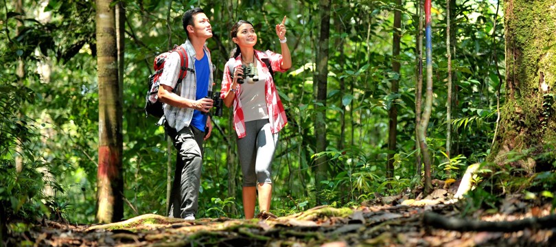 3D2N Mutiara Taman Negara Image