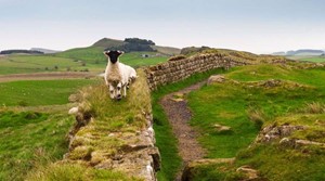Europe <p>Real Britain</p> Tour Image