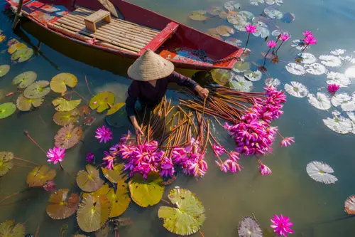 Vietnam Image