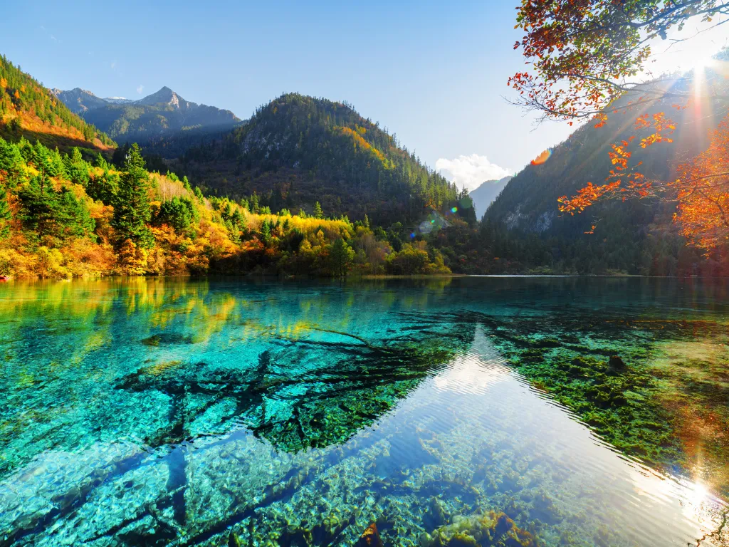 6D5N Chengdu - Jiuzhaigou - Sanxingdui Tour Image