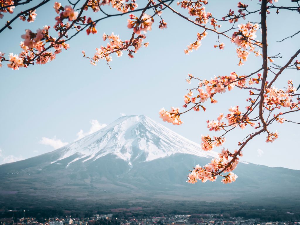 Japan <p>1-Day Mt. Fuji &amp; Hakone Tour [Return by Shinkansen] With Lunch (From Tokyo Station Area) - Seat in coach</p> Tour Image