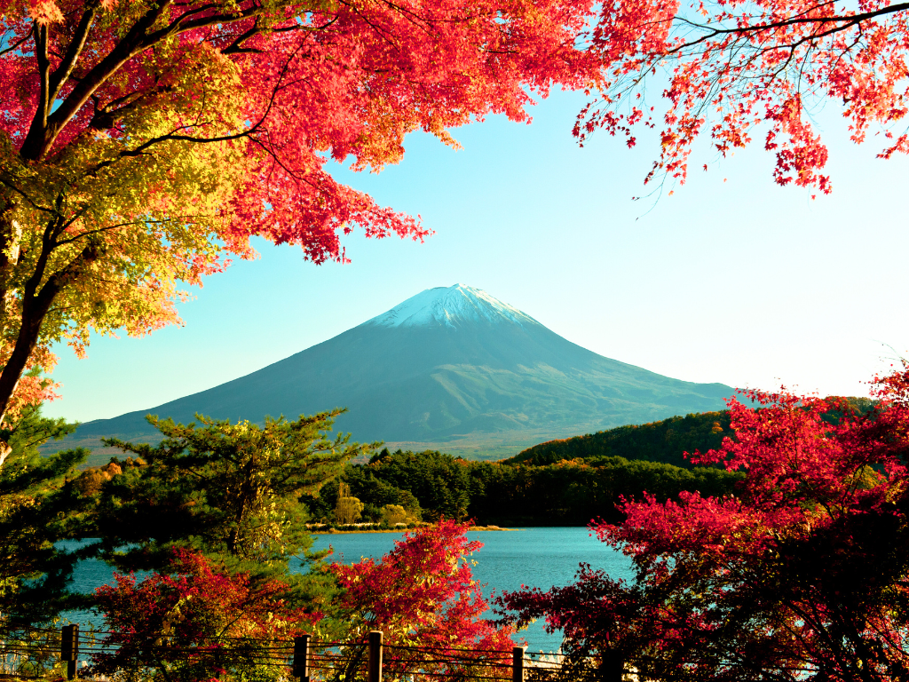 Japan <p>1-Day Mt. Fuji &amp; Hakone Tour [Return by Bus] With Lunch (Round Trip from Tokyo Station Area) - Seat in coach</p> Tour Image