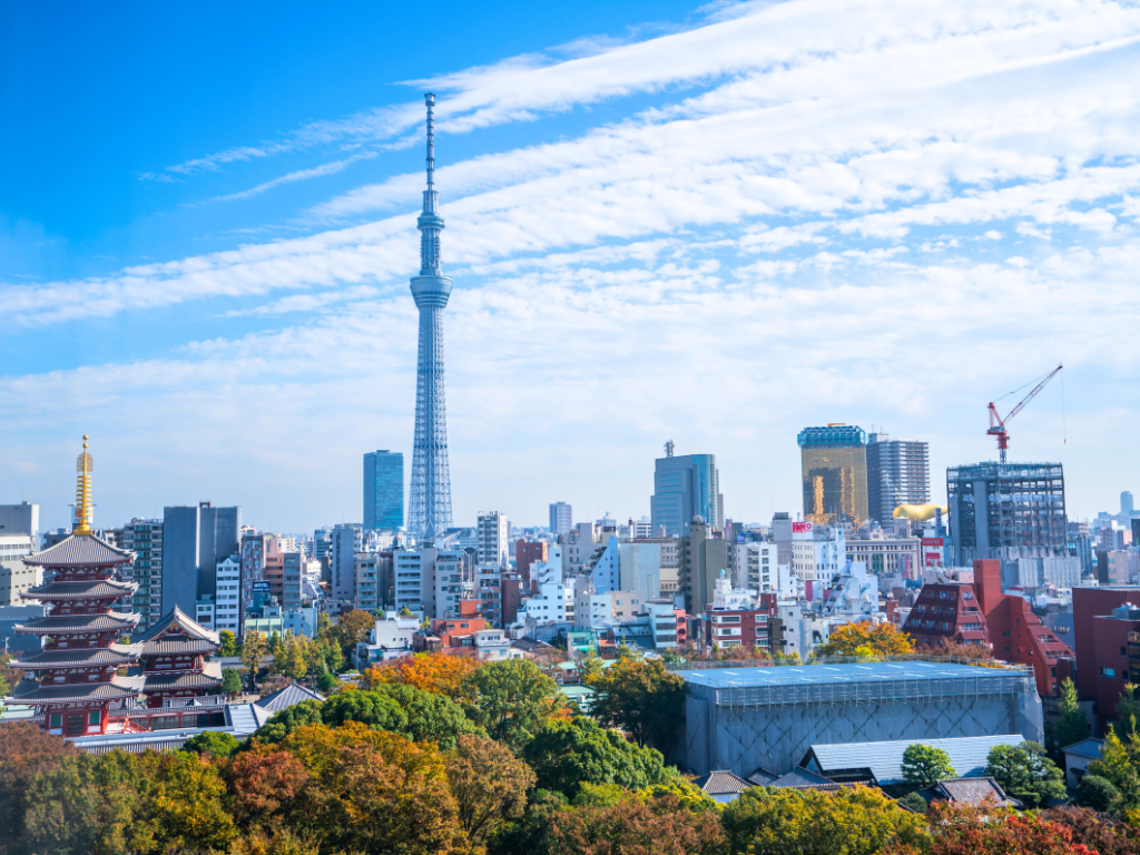 Japan <p>1-Day Panoramic Tour by Hato Bus (From Shinjuku or From Tokyo) - Seat in coach</p> Tour Image