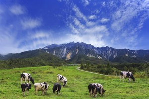 5 Amazing Places for Nature Lovers in Sabah Image