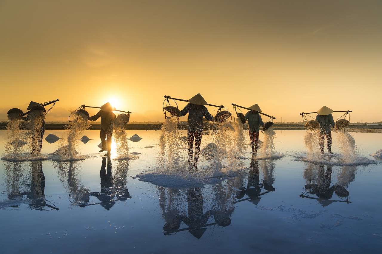 Rediscover Vietnam As An Ecotourism Destination Image
