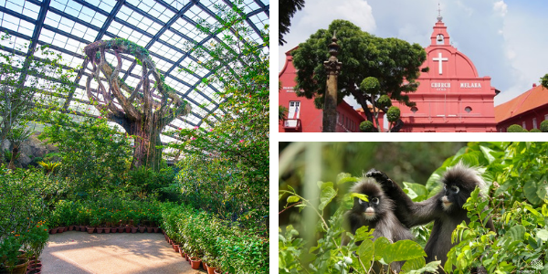 Plan a Family Vacation in 2021! Top 5 Packages That Are Fun For the Whole Family Banner Image
