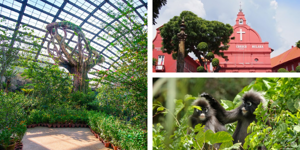 Plan a Family Vacation in 2021! Top 5 Packages That Are Fun For the Whole Family Image