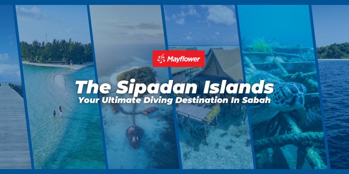 The Sipadan Islands: Your Ultimate Diving Destination In Sabah Image