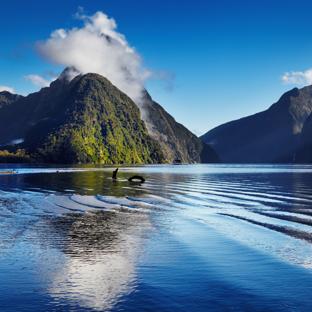New-Zealand <p style="text-align: left;">Southern Splendour (Self-Drive)<br>Christchurch - Tekapo - Queenstown - Milford Sound - Queenstown - Christchurch</p> Tour Image
