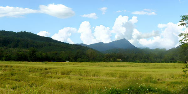 Gunung Jerai Travel Guide 2026: Visit Kedah's Highland Peak Image