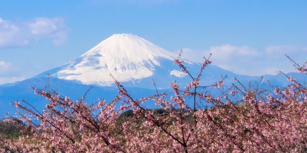 5 Best Reasons to Visit Japan in 2026 for Your Dream Holiday Banner Image