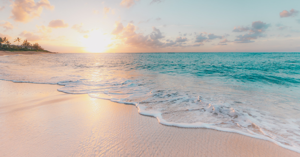 5 Reasons Why You Have to Experience Local Vitamin SEA Image