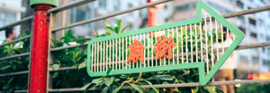 Your Ultimate Guide to Temple Street, Hong Kong 2024 Image
