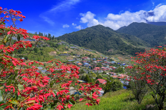 4D3N Kundasang: Self-drive, Your Way Image