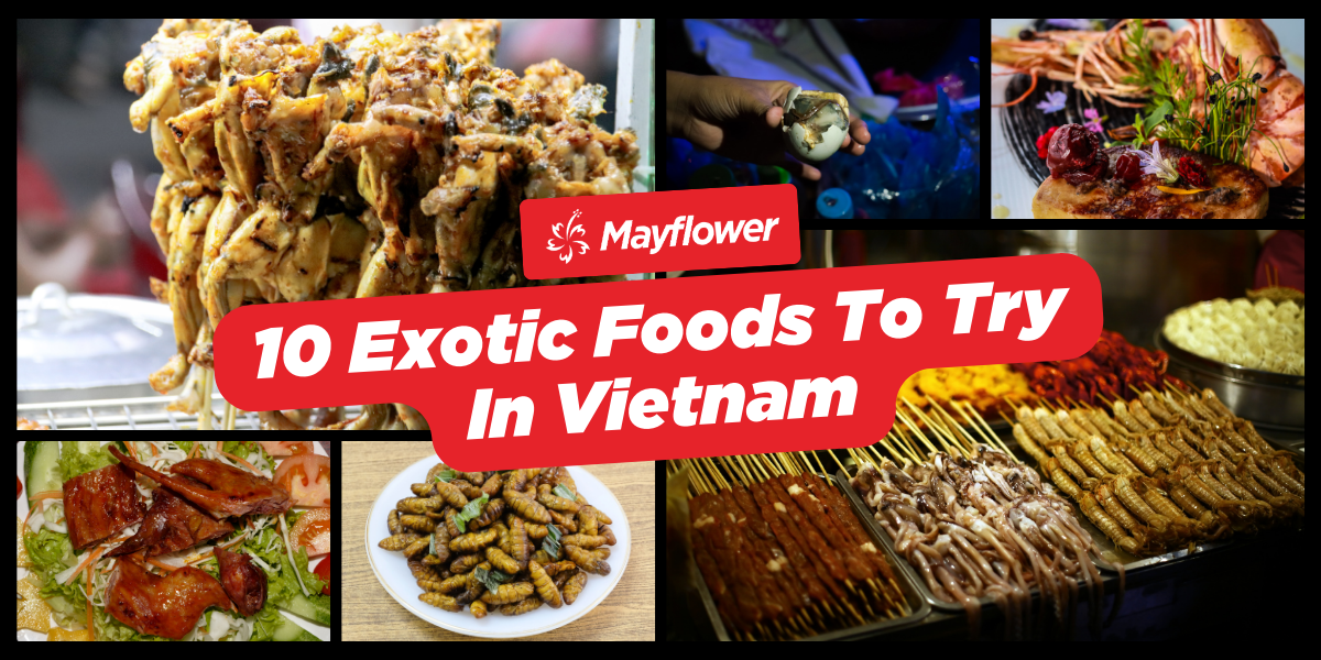 10 Exotic Foods To Try In Vietnam Banner Image