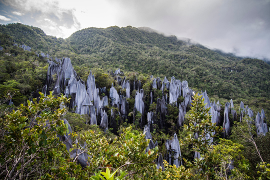 Sarawak	 Image