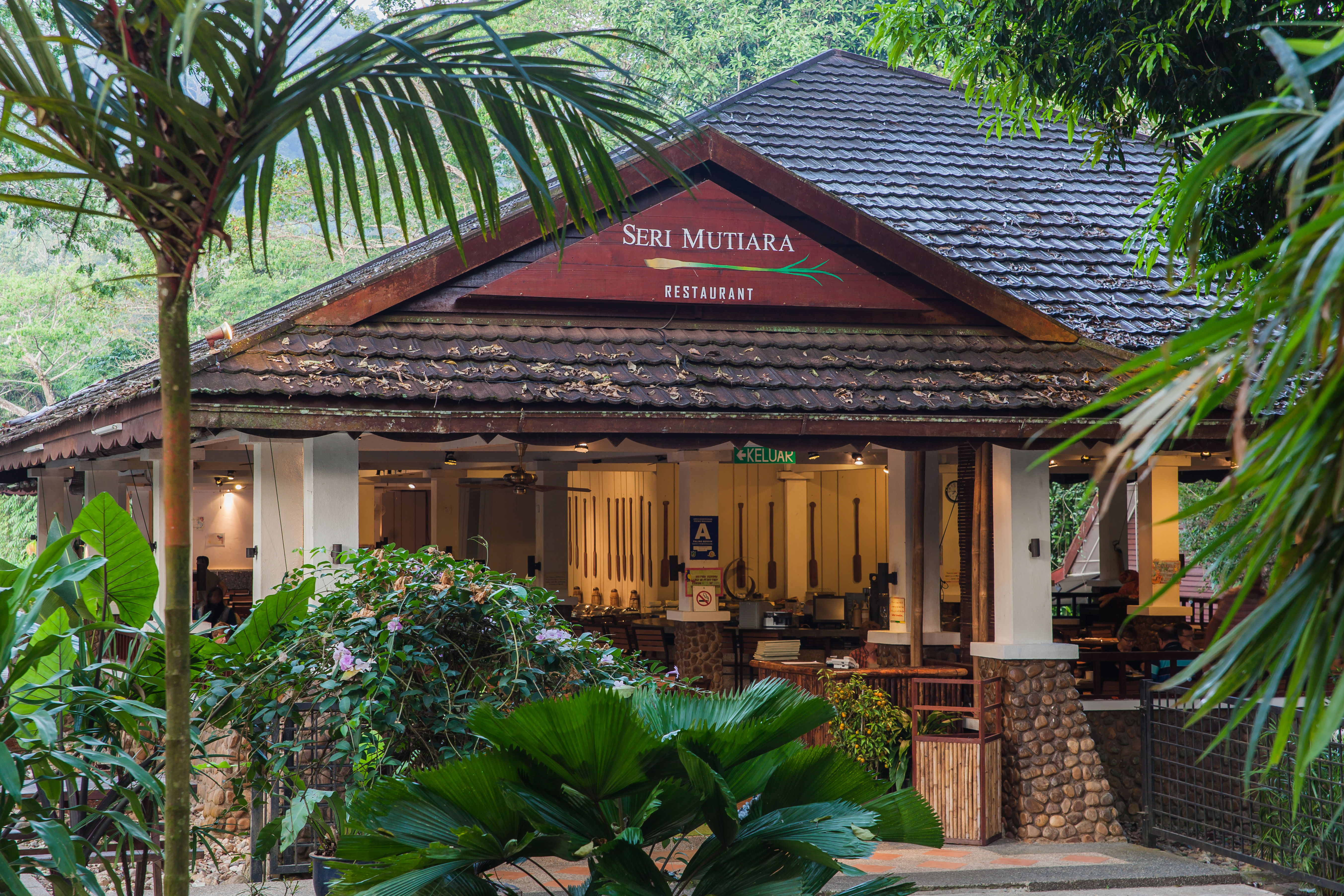 Treasures of Taman Negara Image