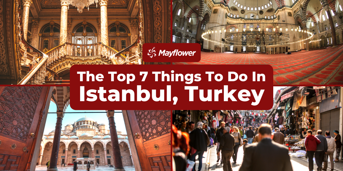 The Top 7 Things To do in Istanbul, Turkey Banner Image