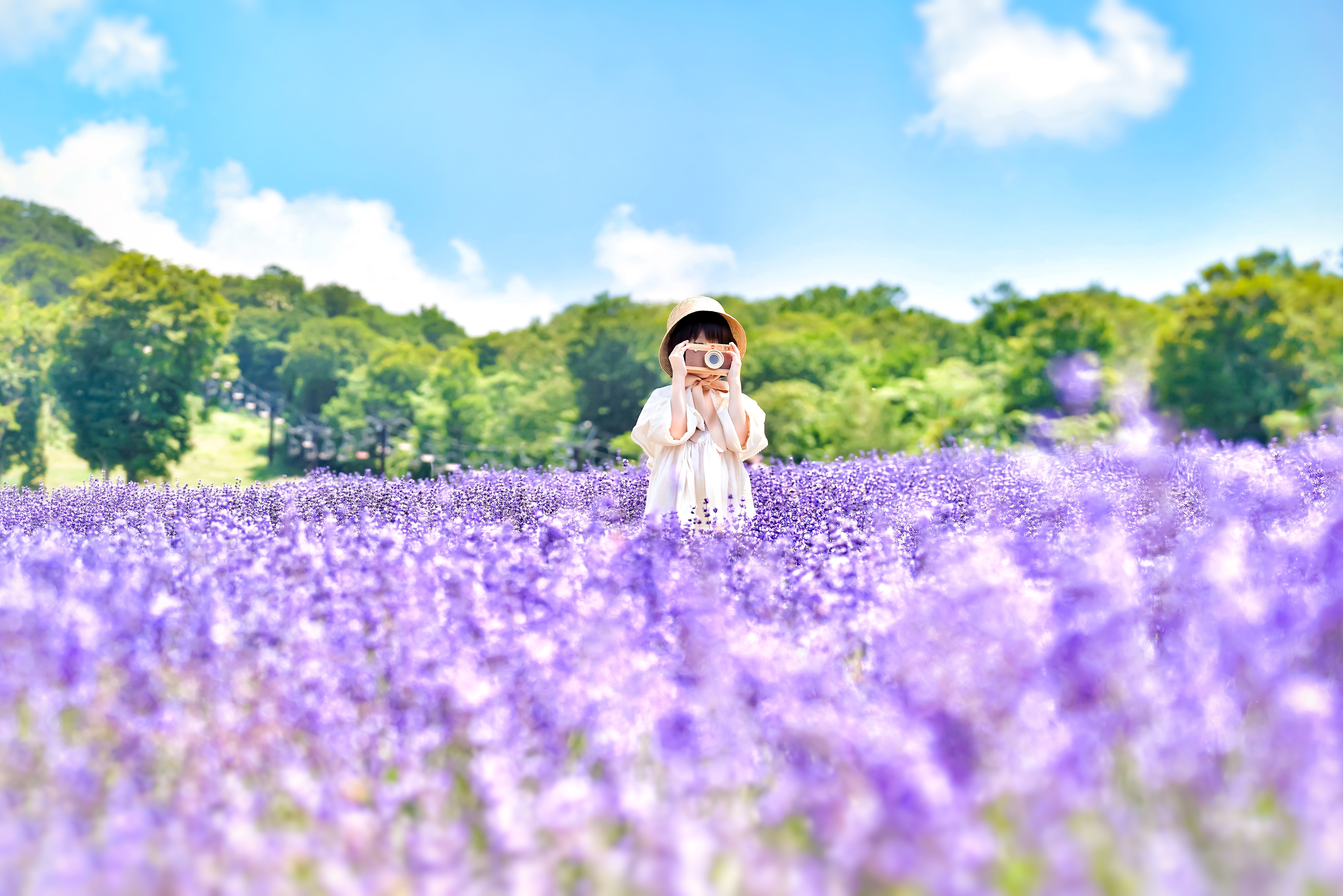 Japan <p>1-Day Tambara Lavender Park<br>Min 6-to-go (Seat in coach)<br>28 June - 24 August 2026</p> Tour Image