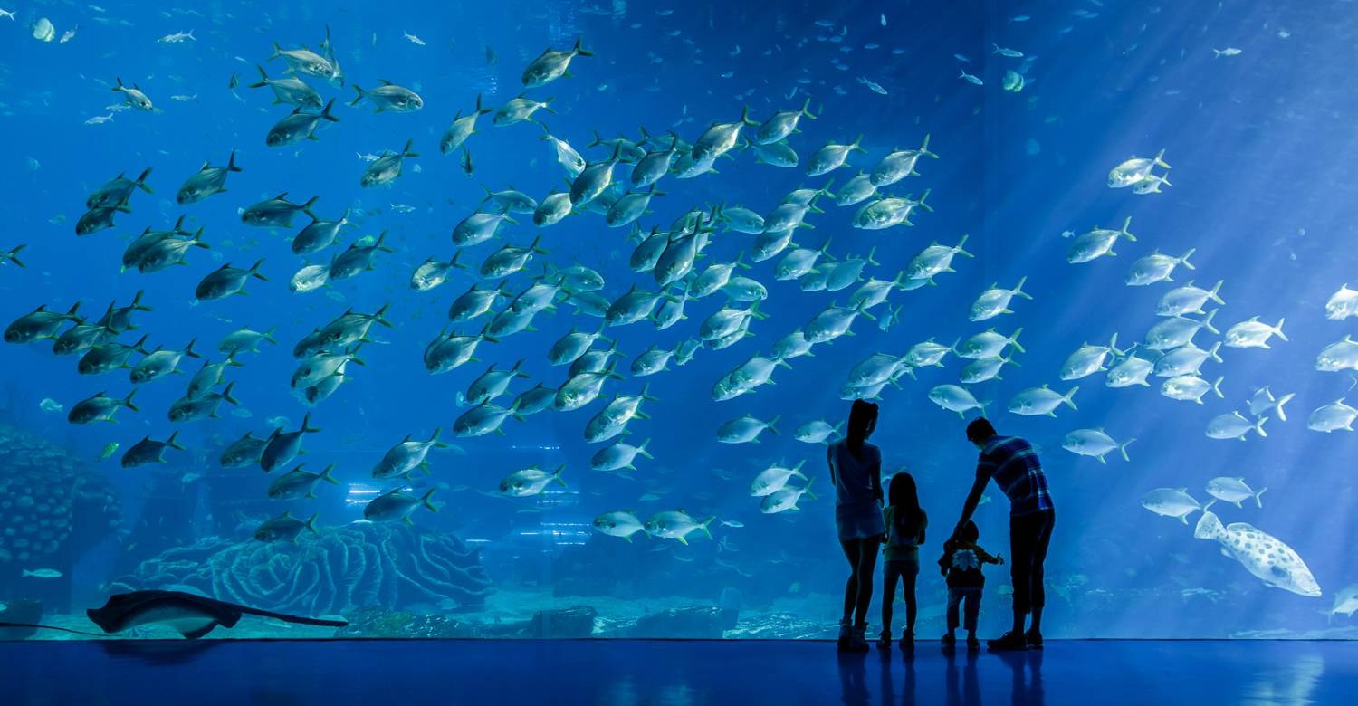Macao <p>[Private] Macao + Chimelong Ocean Kingdom Muslim Tour<br>Min 4-to-go</p> Tour Image